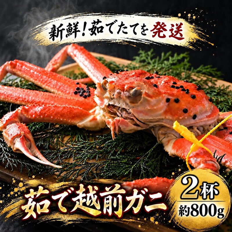 期間限定 茹で 越前ガニ 約800g 2杯 食通もうなる本場の味を