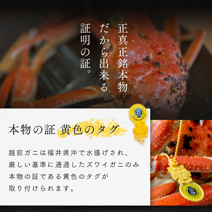 訳あり茹で越前ガニ 500g以上×1杯(脚折れ) カニ ズワイガニ ボイル 福井県