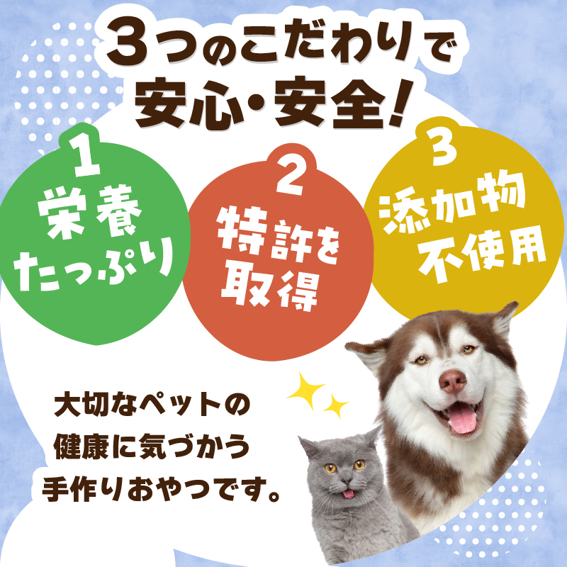 わんにゃんおやつ（ブロック）犬猫用