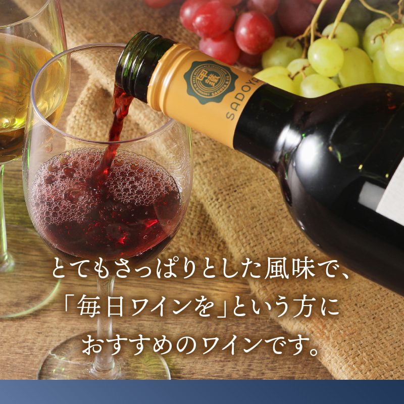 サドヤ モンシェルヴァン　赤　750ml