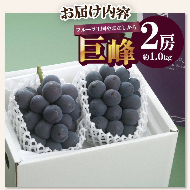 〈2026年度配送分〉巨峰2房（約1.0kg）