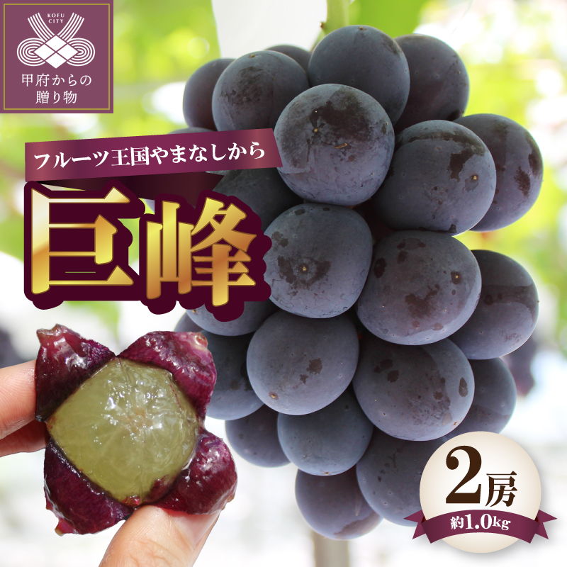 〈2026年度配送分〉巨峰2房（約1.0kg）