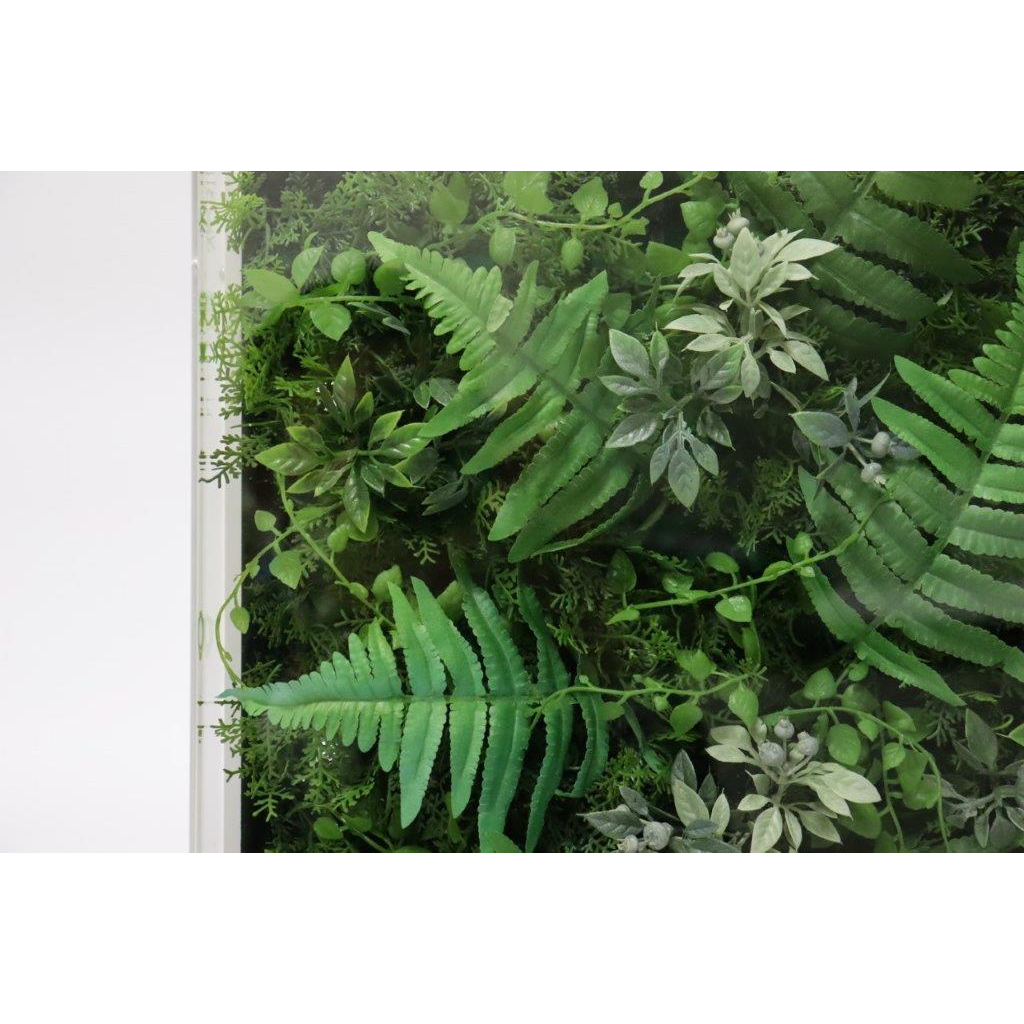 高級インテリアグリーン　Lサイズ