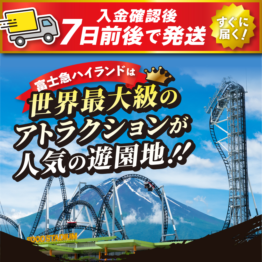 富士急ハイランド 】 フリーパス ペアチケット 富士急ハイランド 遊園地 テーマパーク(ペアチケット): 富士吉田市ANAのふるさと納税