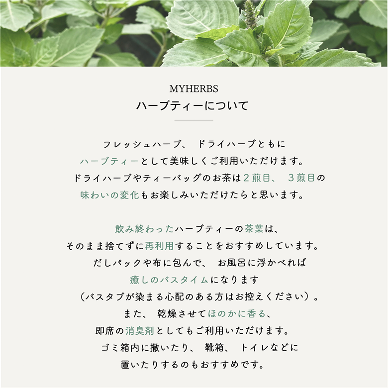 メール便発送 ハーブティーセット(ミント&レモン) ティーバッグ20個