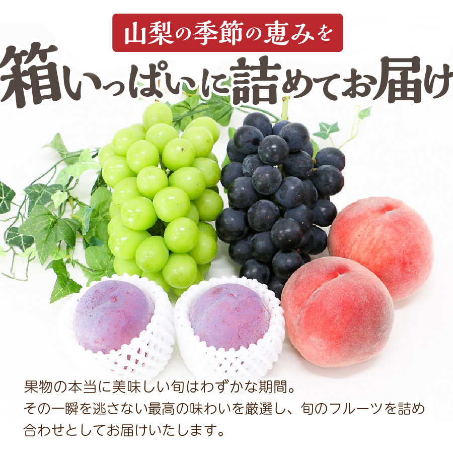 【8月配送】旬のお任せフルーツボックス