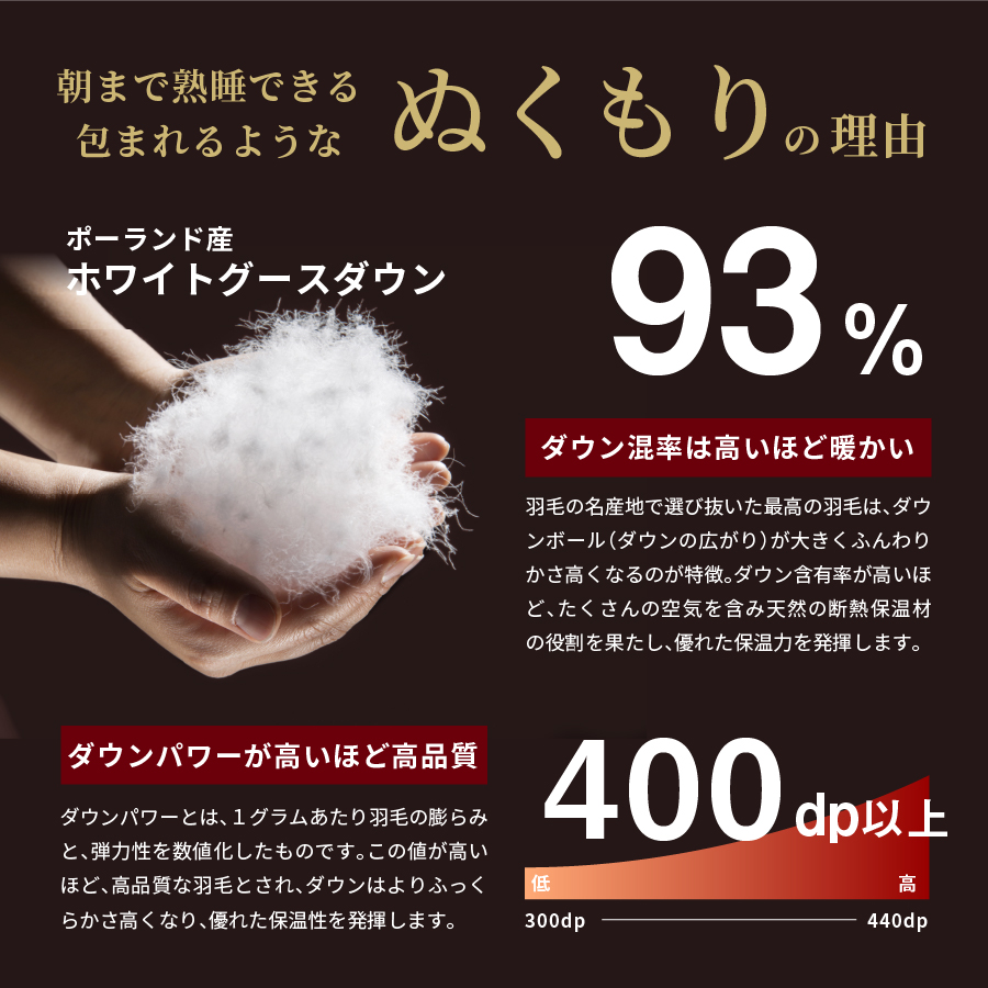 羽毛合い掛けふとん 増量タイプ（クイーン）ポーランド産グース93％【創業100年】