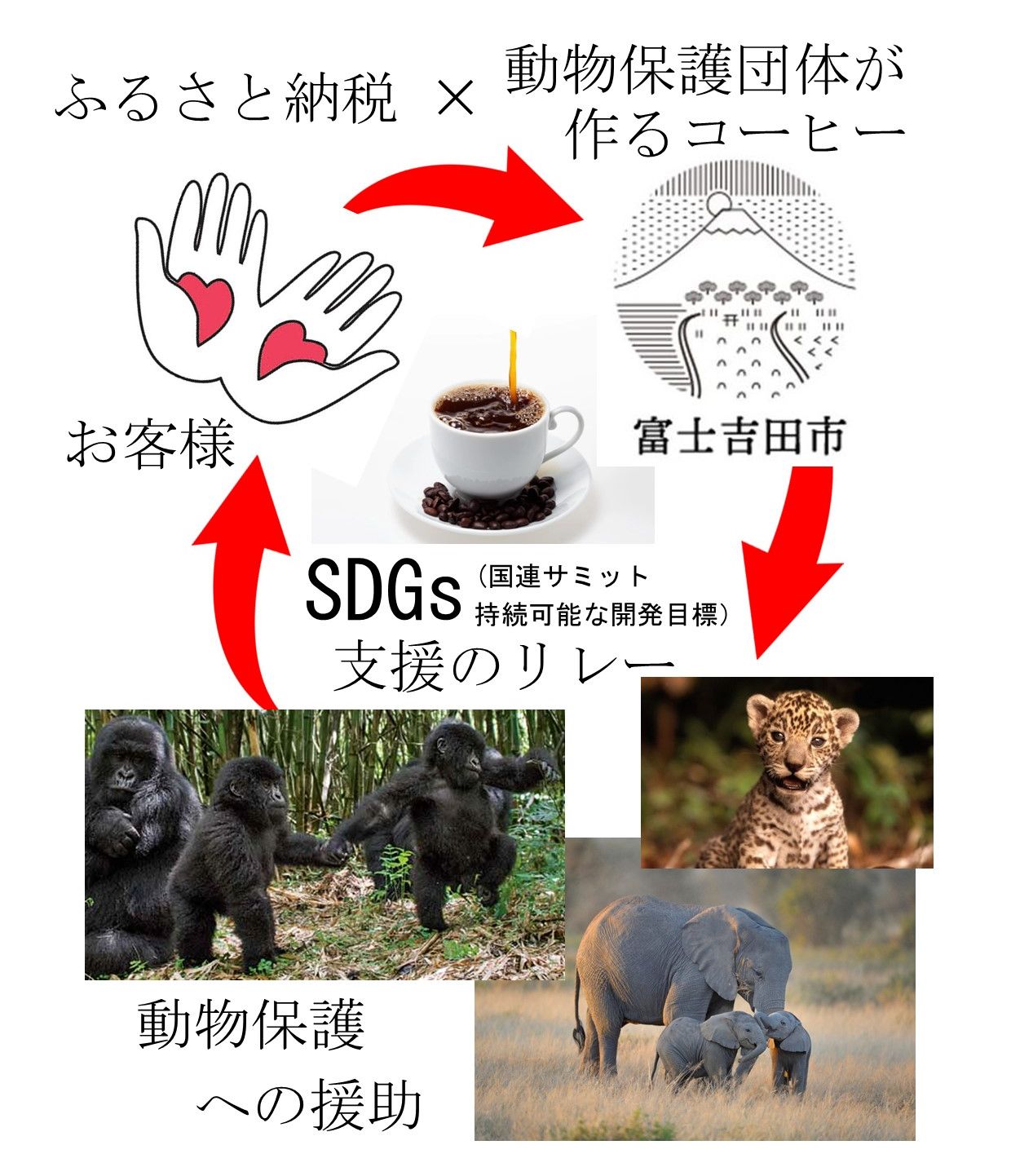 メール便発送【訳あり】動物保護支援 ブレンドコーヒー 富士山の湧き水で磨いた スペシャルティコーヒー 粉 400g