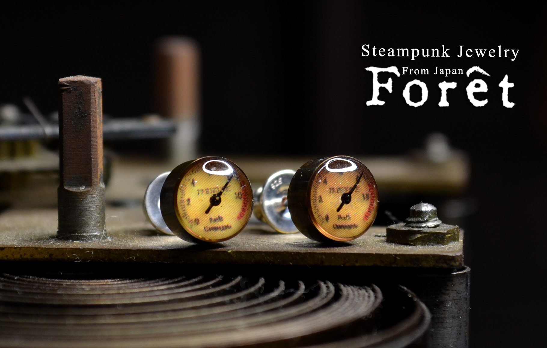 Steampunk スチームパンク メーターピアス
