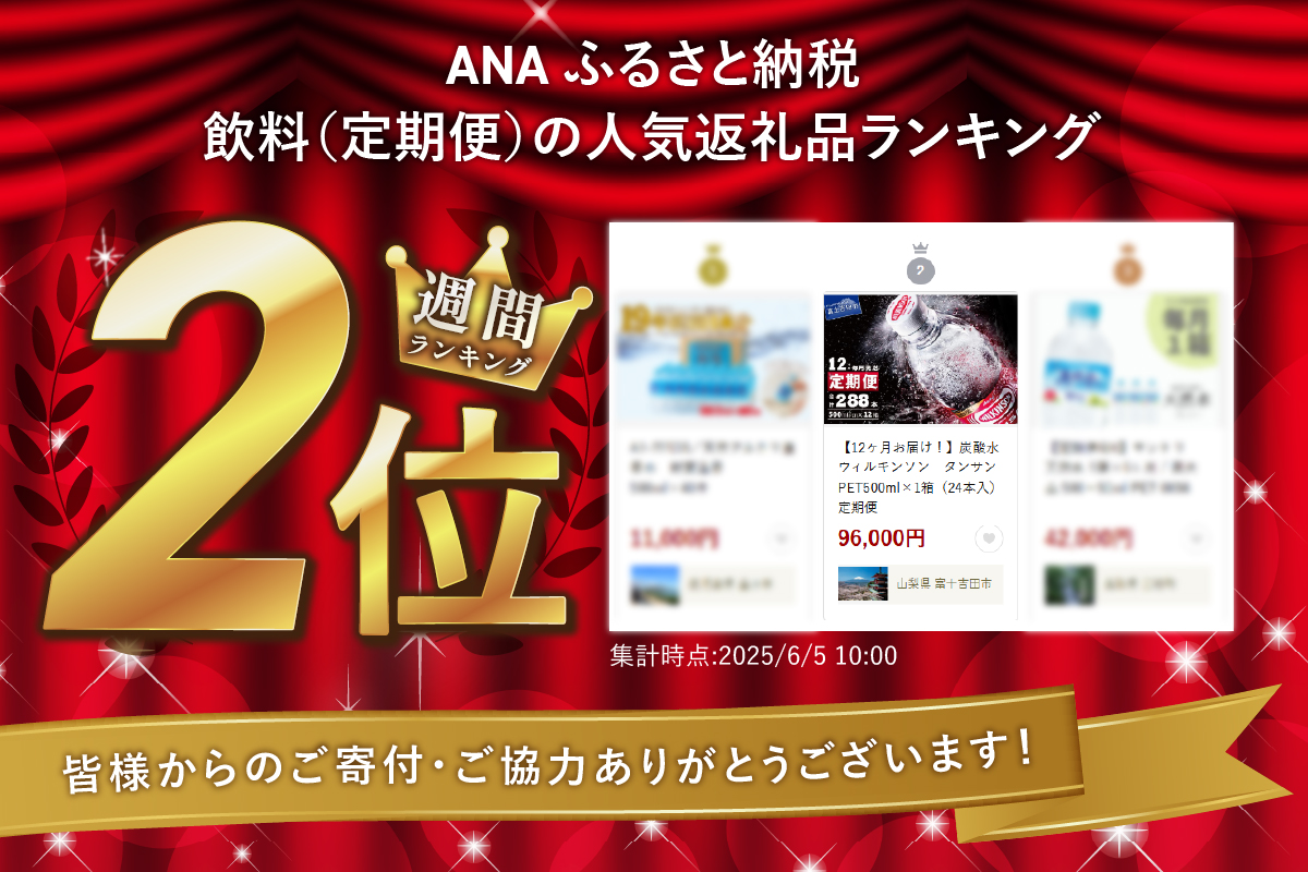 【12ヶ月お届け！】炭酸水 ウィルキンソン　タンサン PET500ml×1箱（24本入）定期便 12ヶ月 １箱
