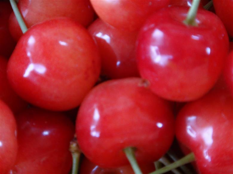 【2025年発送】【数量限定】【期間限定】山梨県産 紅秀峰 さくらんぼ (1kg) バラ詰め