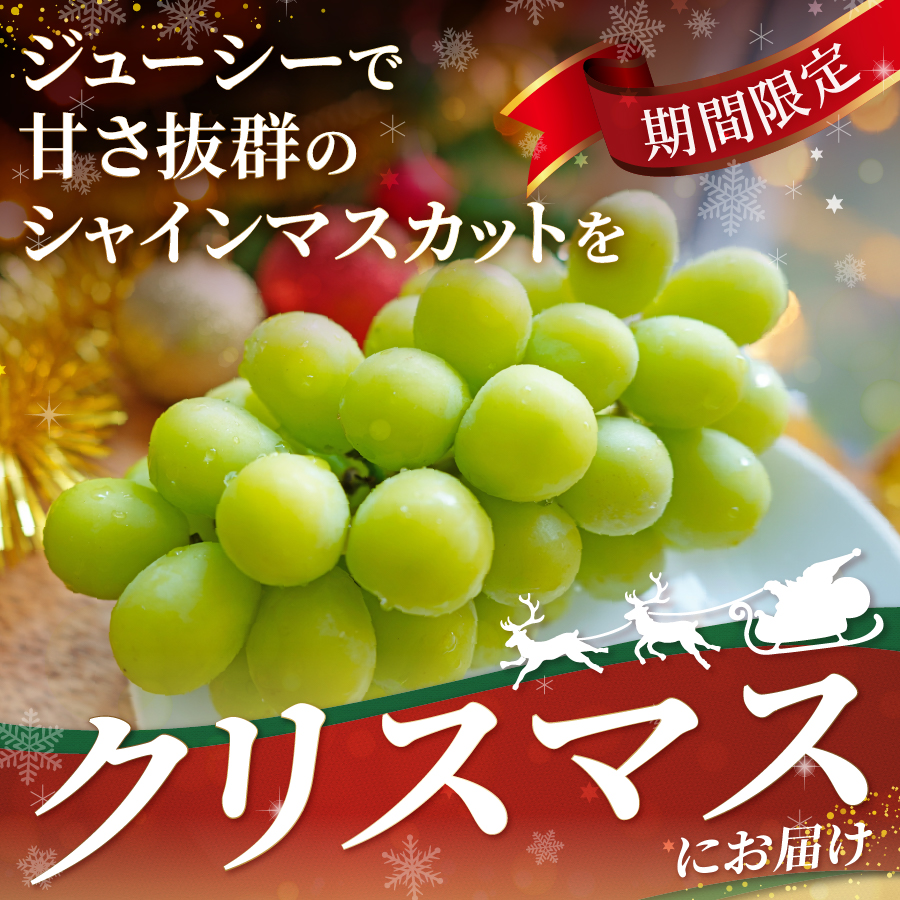 【クリスマスに届く】ジューシーで甘さ抜群　厳選シャインマスカット500g 【2025年12月発送】