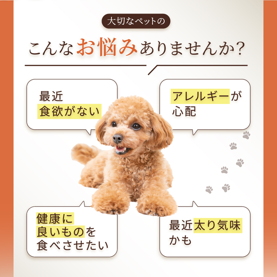 DEARDEERオリジナル　ペット用鹿ジャーキー 45g×5袋