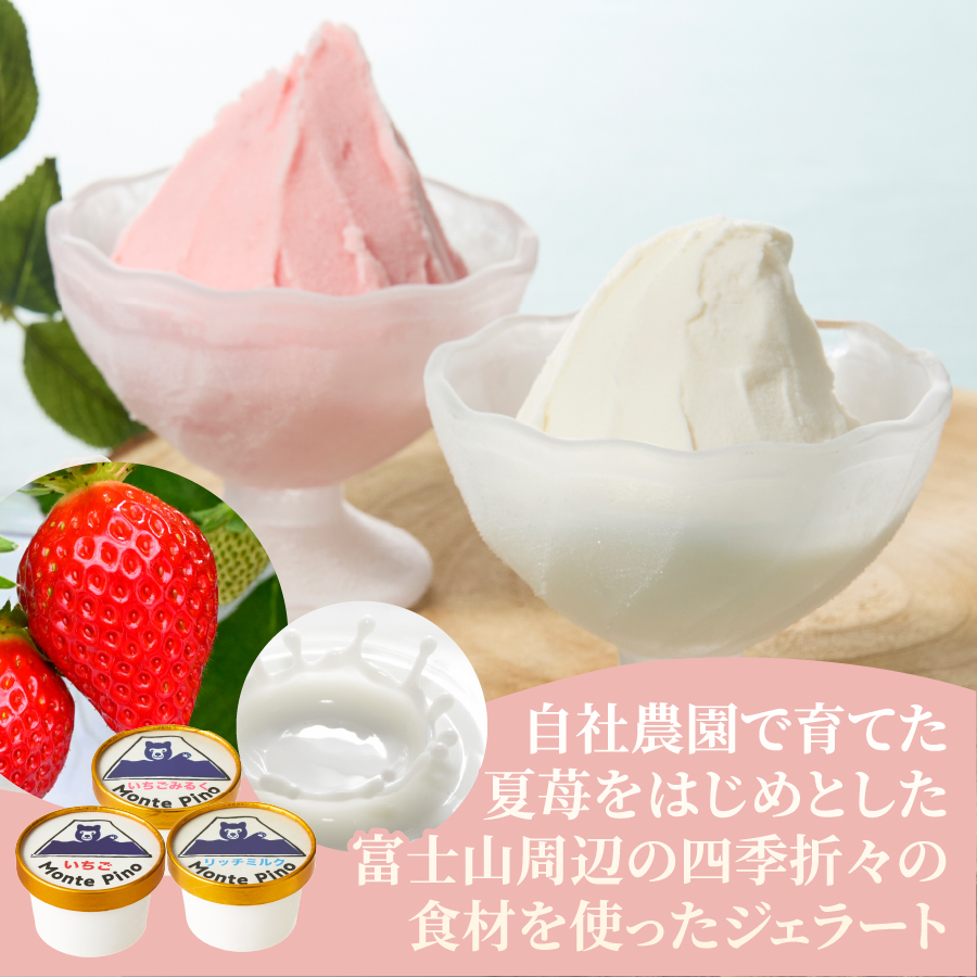 富士山まるごとジェラート　いちご特別セット