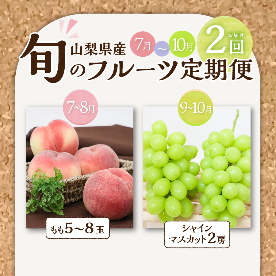 【2025年発送】【2回お届け！】旬のフルーツ定期便（もも・シャインマスカット）【マツコの知らない世界】