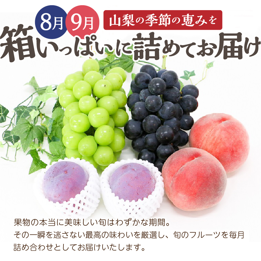 【2回配送】旬のお任せフルーツボックス定期便（8月・9月）