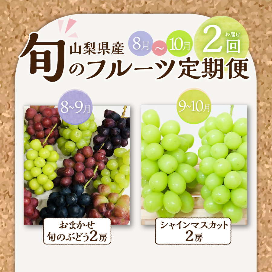 【2回お届け！】旬のフルーツ定期便（おまかせ旬のぶどう・シャインマスカット）