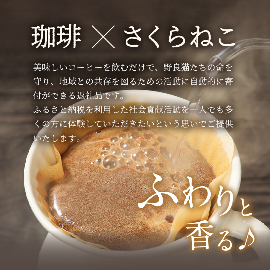 メール便発送【訳ありコーヒー定期便】さくらねこ支援コーヒーセット（豆）3ヶ月