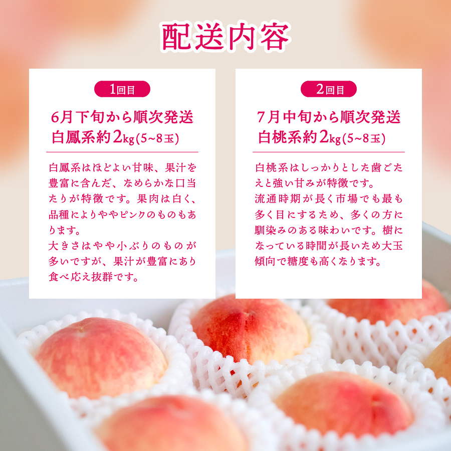 【2025年発送】【2回お届け！】山梨県産 桃 約2kg×2回配送 食べ比べ定期便