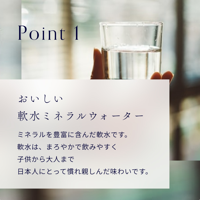 【12ヶ月お届け】富士山の源流水（9.5L×2本/ケース）