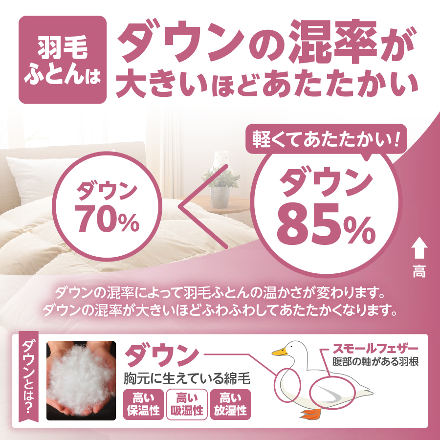 羽毛布団 肌布団 洗える羽毛肌掛けふとん（ダブル）【甲州羽毛ふとん】羽毛肌掛け布団 掛け布団【ガイアの夜明け】 D:ダブル