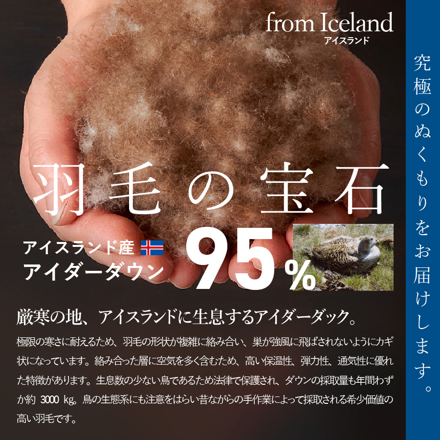 【甲州羽毛肌掛けふとん】銀の糸×アイダーダウン95％ (ダブル / アイボリー) お任せカバー付き