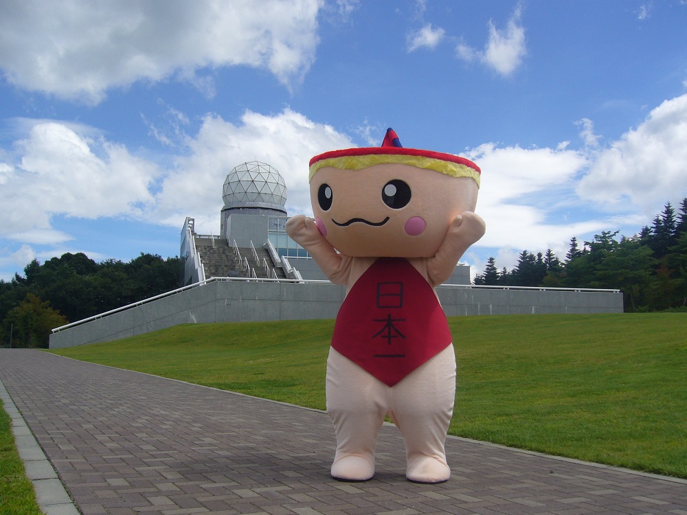 マルちゃん 吉田のうどんカップ麺 (12個入り)
