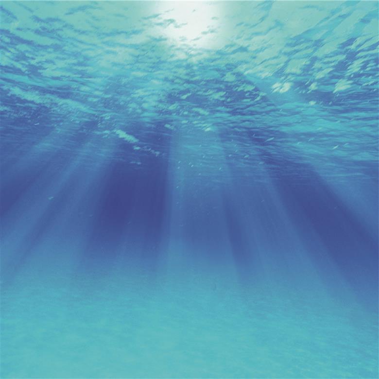 【晴雨兼用折畳み傘】sea-sas シーサス(マリンブルー)