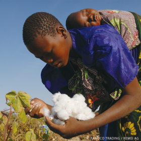 オリジナルパジャマ　紳士M【オーガニックコットン100%】