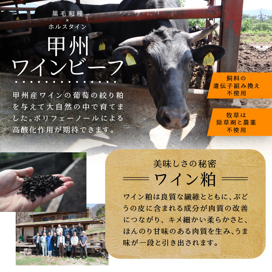 山梨県産　熟成肉ハンバーグ10個セット
