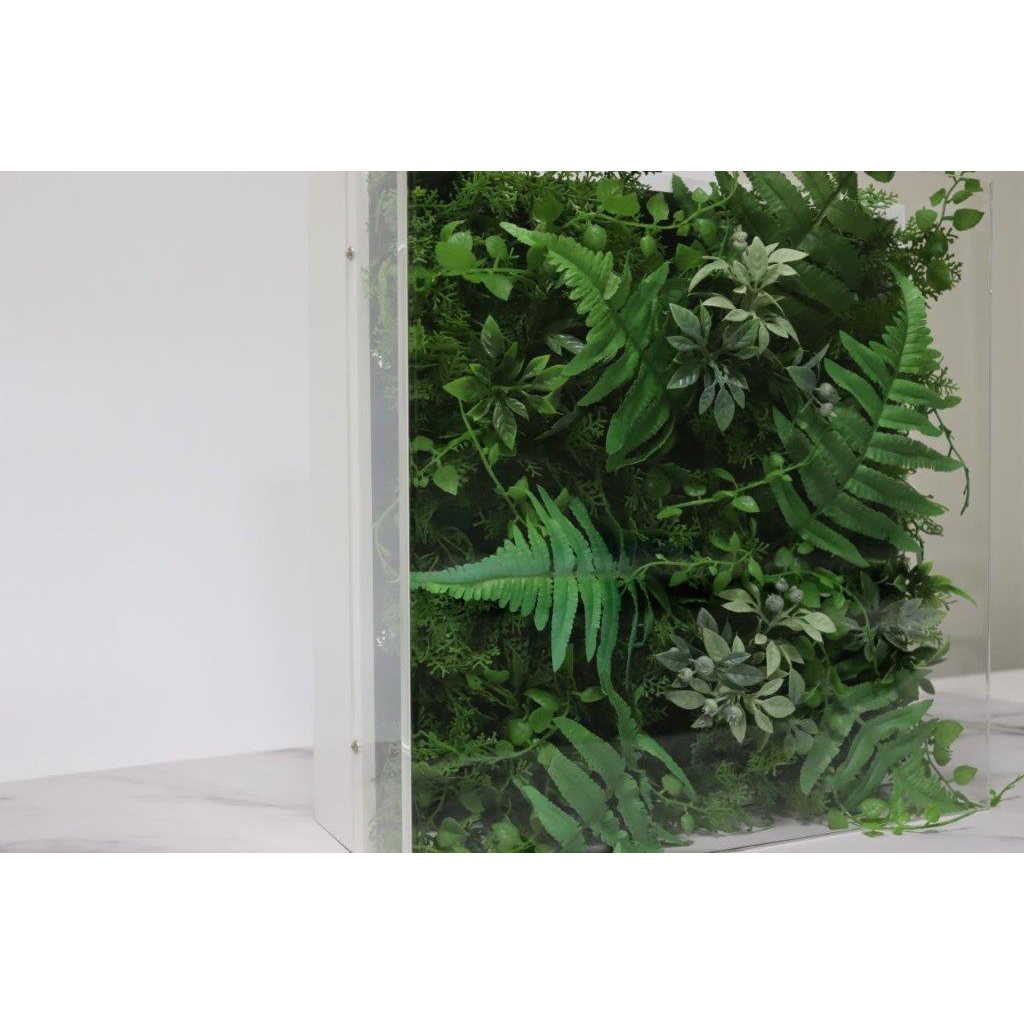 高級インテリアグリーン　Lサイズ