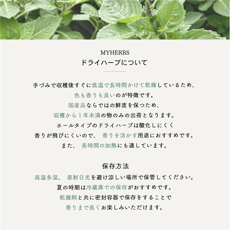 メール便発送 ハーブティーセット(ミント&レモン) ティーバッグ40個