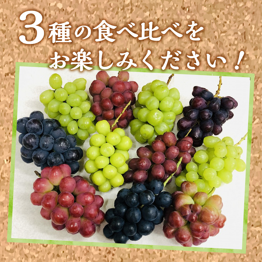 ぶどう　3種アソート