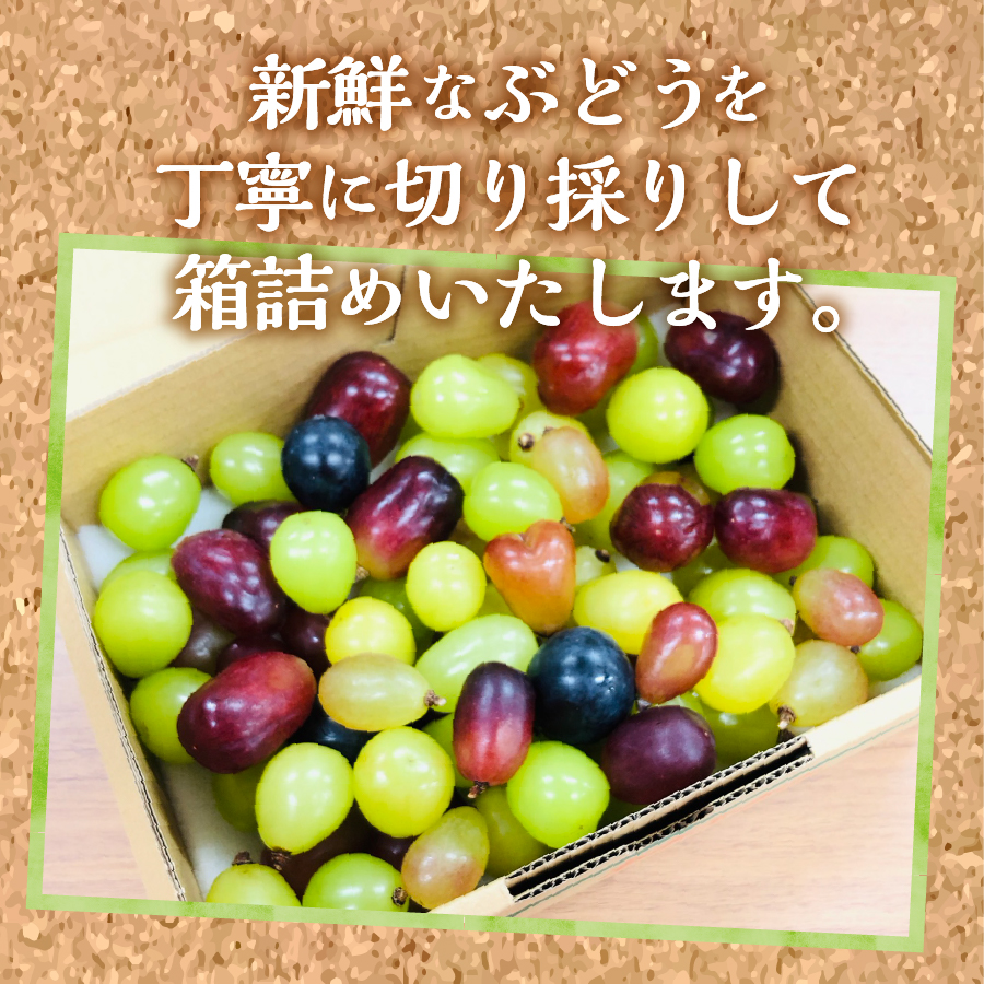 つぶつぶ ぶどうの 宝石箱