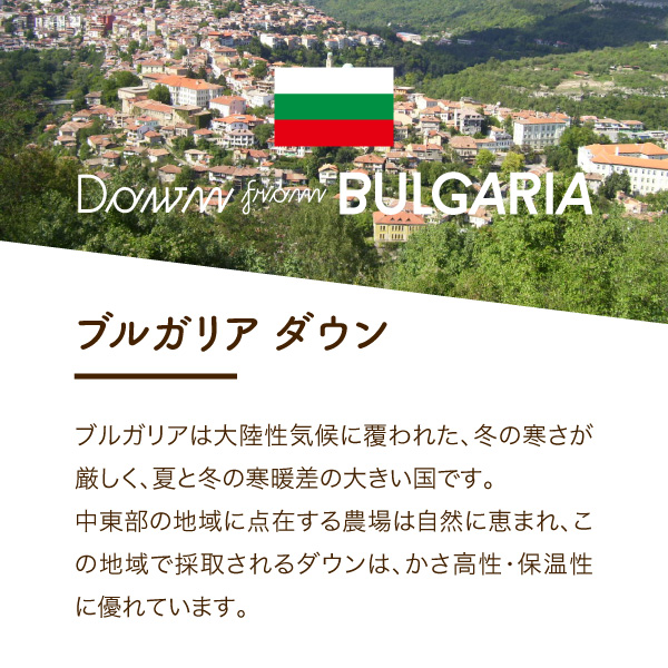 【創業100年】匠がつくる羽毛合い掛けふとん（シングル）ピンク