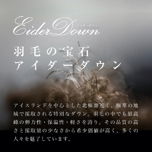 【老舗寝具メーカーロマンス小杉監修】羽毛の宝石「アイダーダウン」の羽毛肌掛けふとん(シングル) ブルー