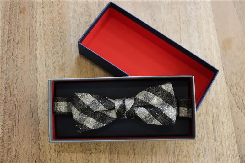 HADACHU シルク蝶ネクタイ(CTM-160)