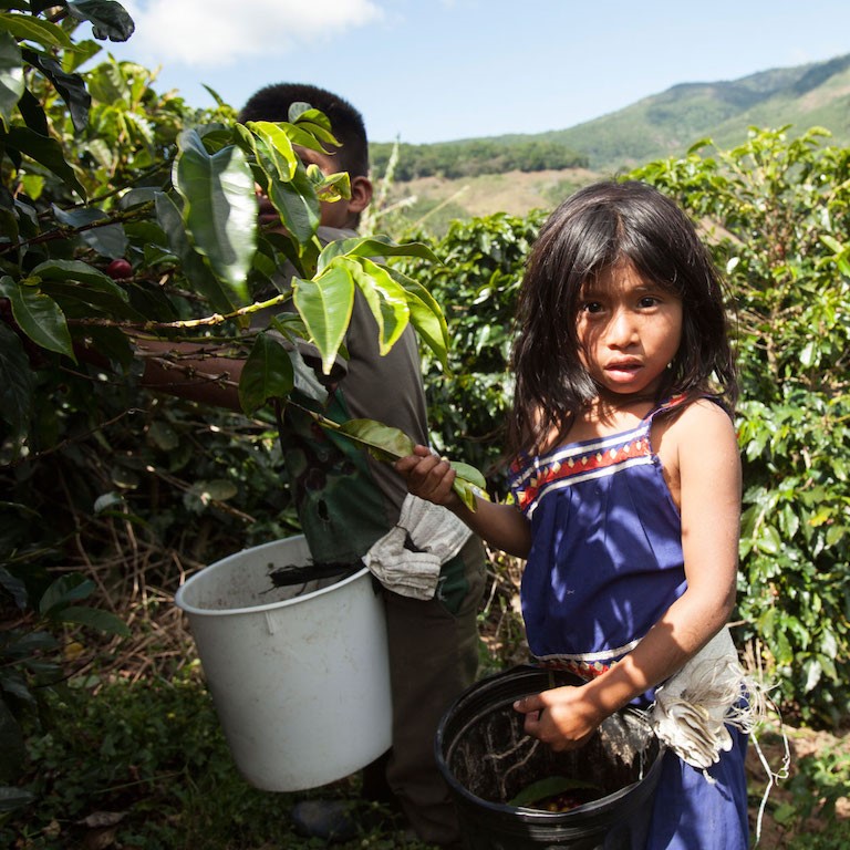 メール便発送【訳あり】フェアトレード ブレンドコーヒー 富士山の湧き水で磨いた スペシャルティコーヒー ドリップ 12g×24袋