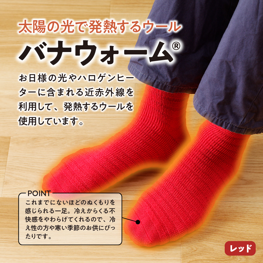 光吸収発熱ウール「ウォームファーム ボーダー柄靴下」（ネイビー）