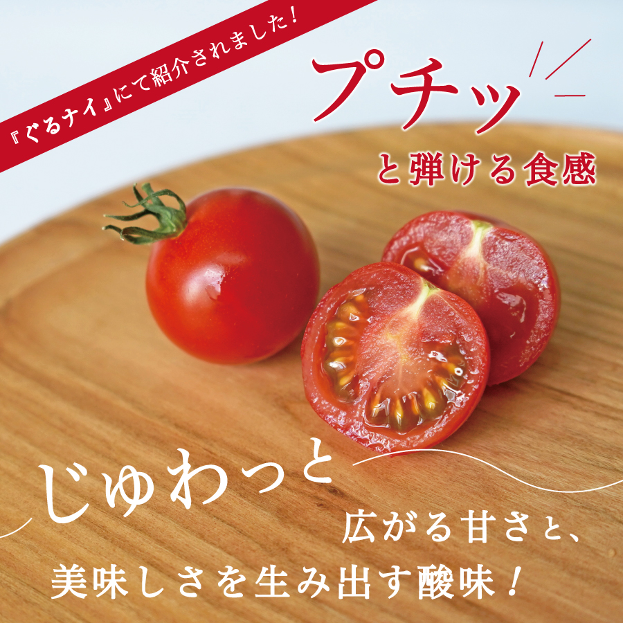 FUJITOMA　（フルーツトマト）　1kg