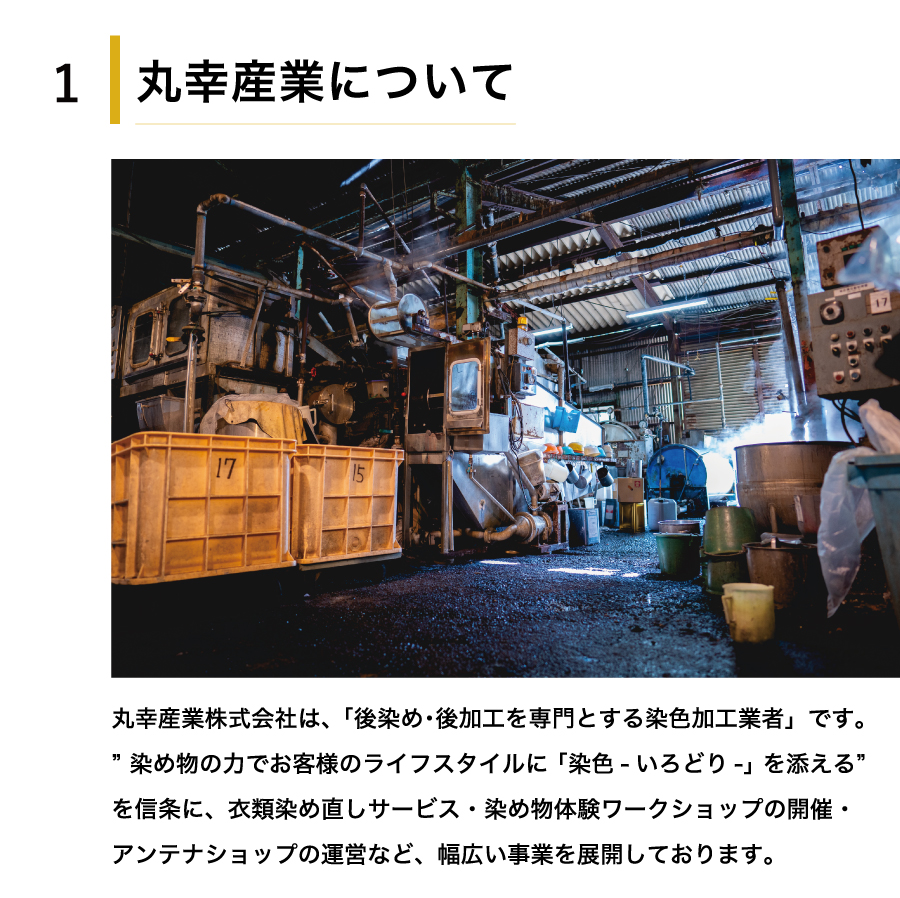 黒染め直しサービス　Dコース