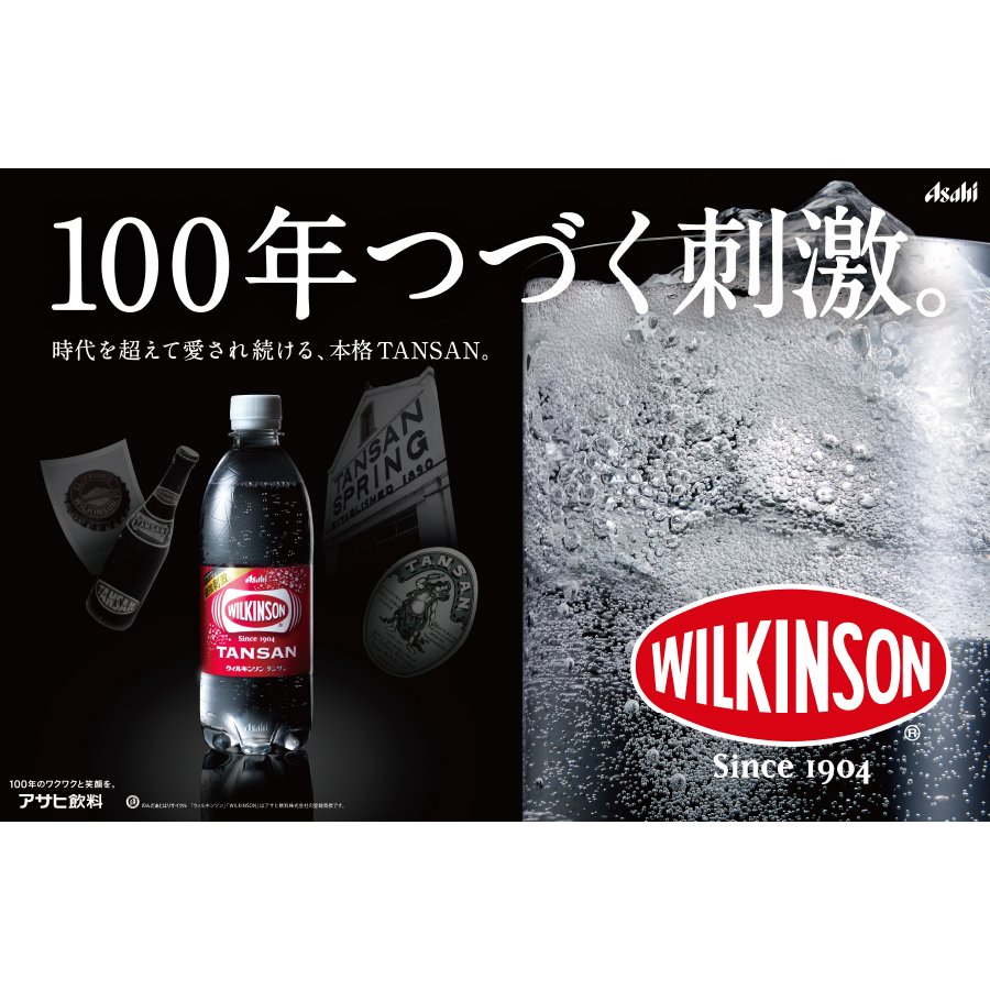【6ヶ月お届け！】炭酸水 ウィルキンソン　タンサン PET500ml×1箱（24本入）定期便 ６ヶ月 １箱