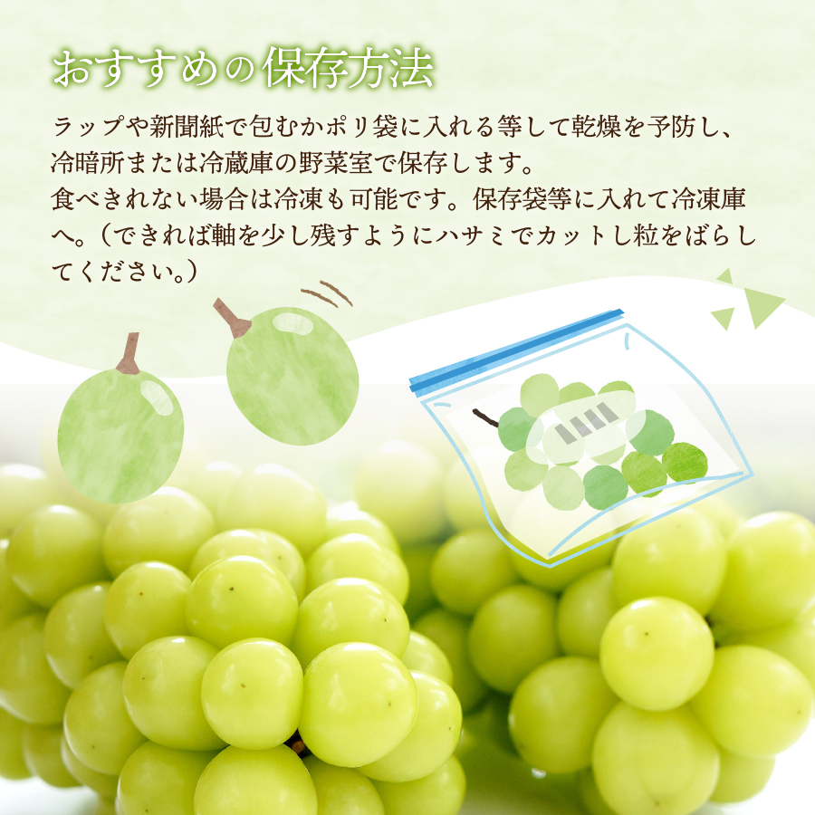 【2025年発送】山梨県産 シャインマスカット 約1kg(2房)