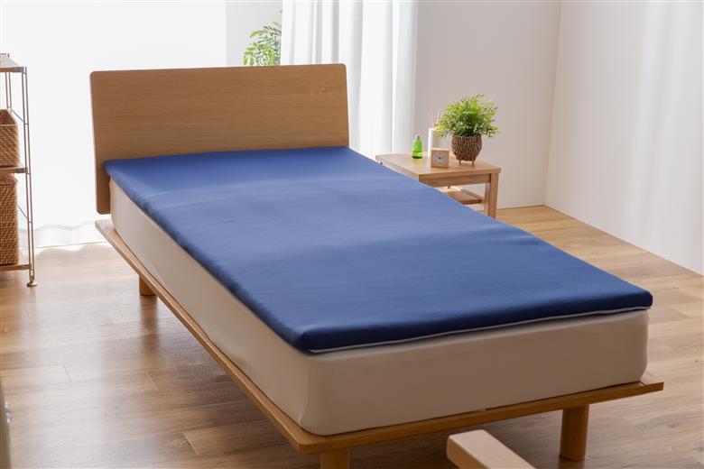 【甲州羽毛ふとん】定期便（年6回）エクセルコース/シングル