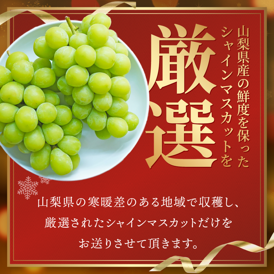 【クリスマスに届く】ジューシーで甘さ抜群　厳選シャインマスカット500g 【2025年12月発送】