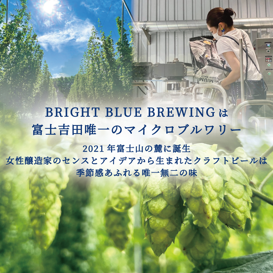 BRIGHT BLUE BREWING ブルーラベル Black IPA 330ml 6本セット