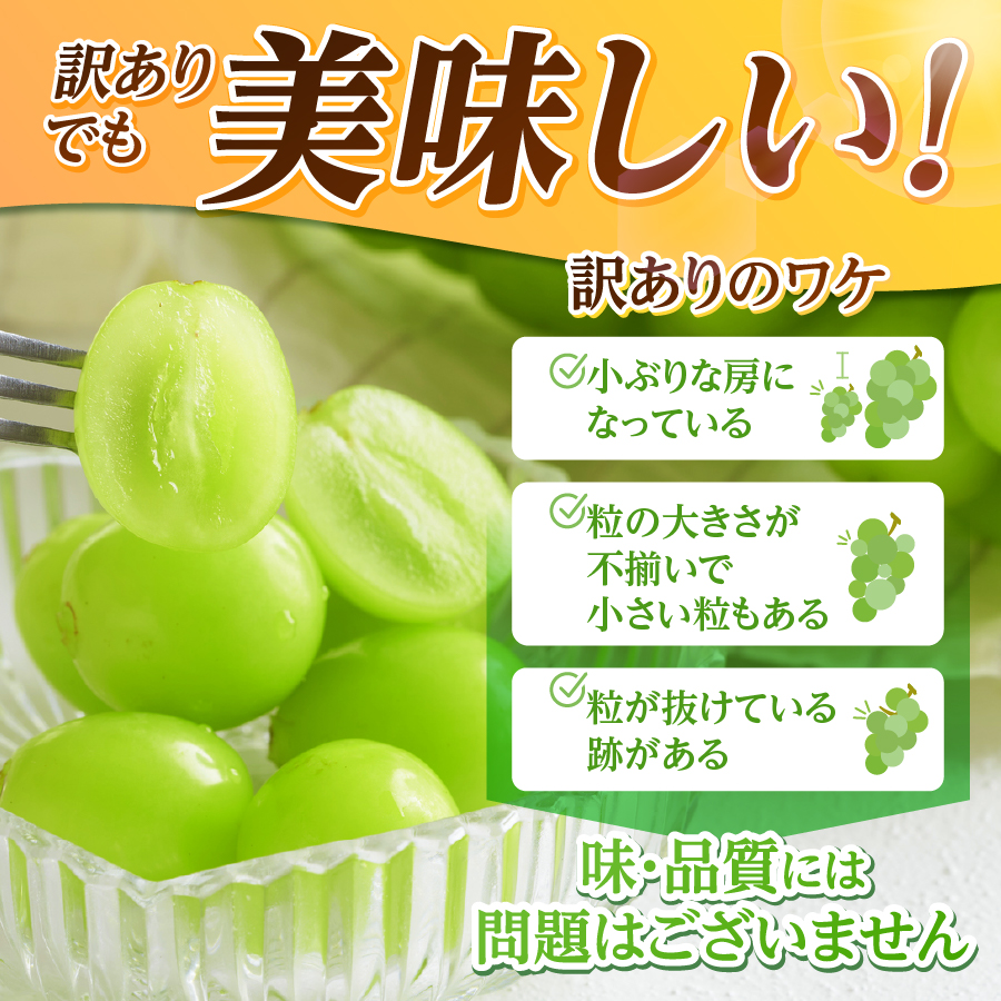 【2026年発送 先行予約】訳あり シャインマスカット1.5kg（3～4房）