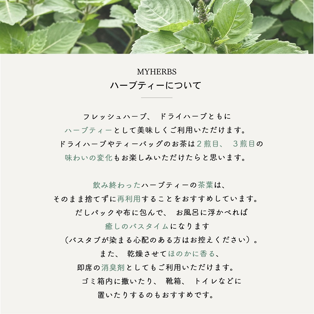 【メール便発送】ハーブティーお試しセット（シトラス＆カモミール）ティーバッグ5個