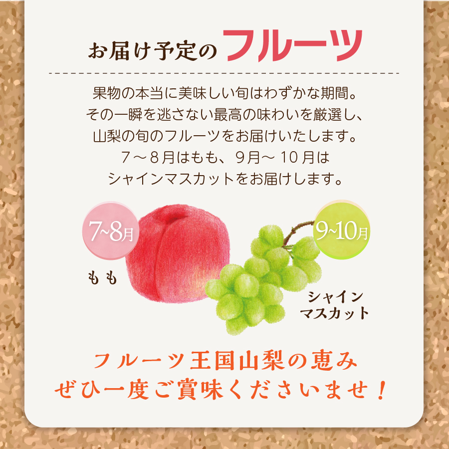【2025年発送】【2回お届け！】旬のフルーツ定期便（もも・シャインマスカット）【マツコの知らない世界】