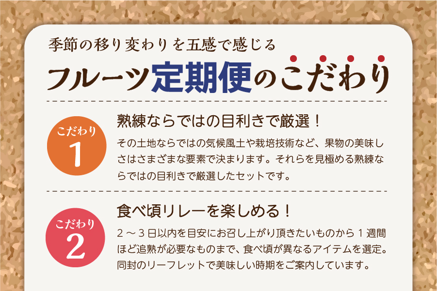 【2回配送】旬のお任せフルーツボックス定期便（8月・9月）